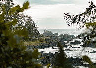 Parks and Recreation Activity Guide Thumbnail