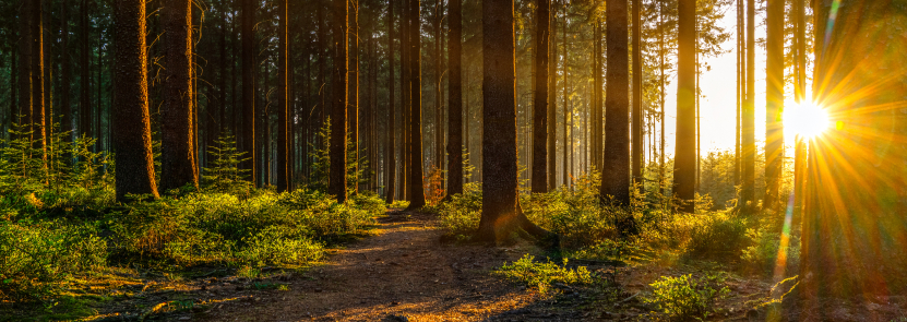 land acknowledgement background