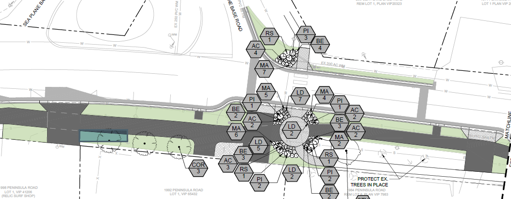 Current Landscaping Plans for Peninsula Road