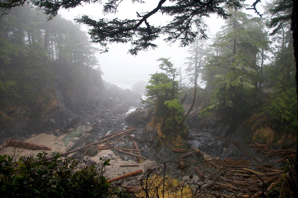 foggy beachfront ucluelet
