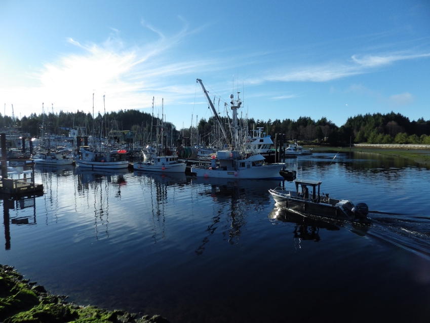 small-craft-harbour-ucluelet