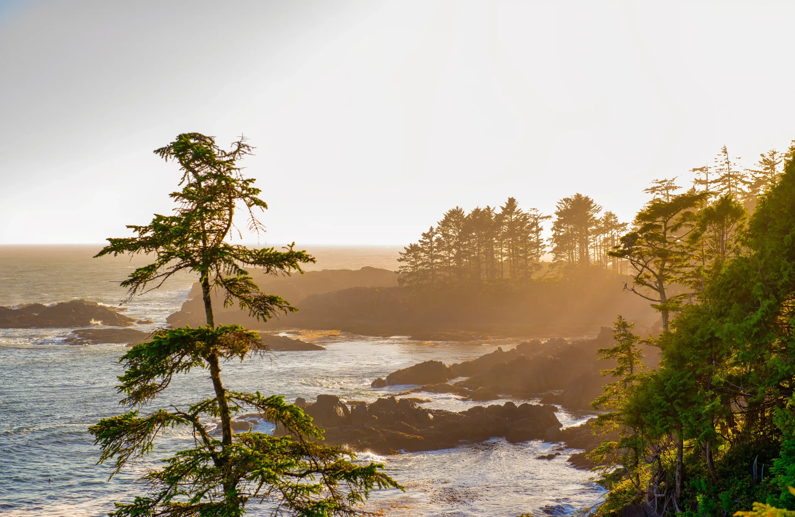 view of ucluelet sunset