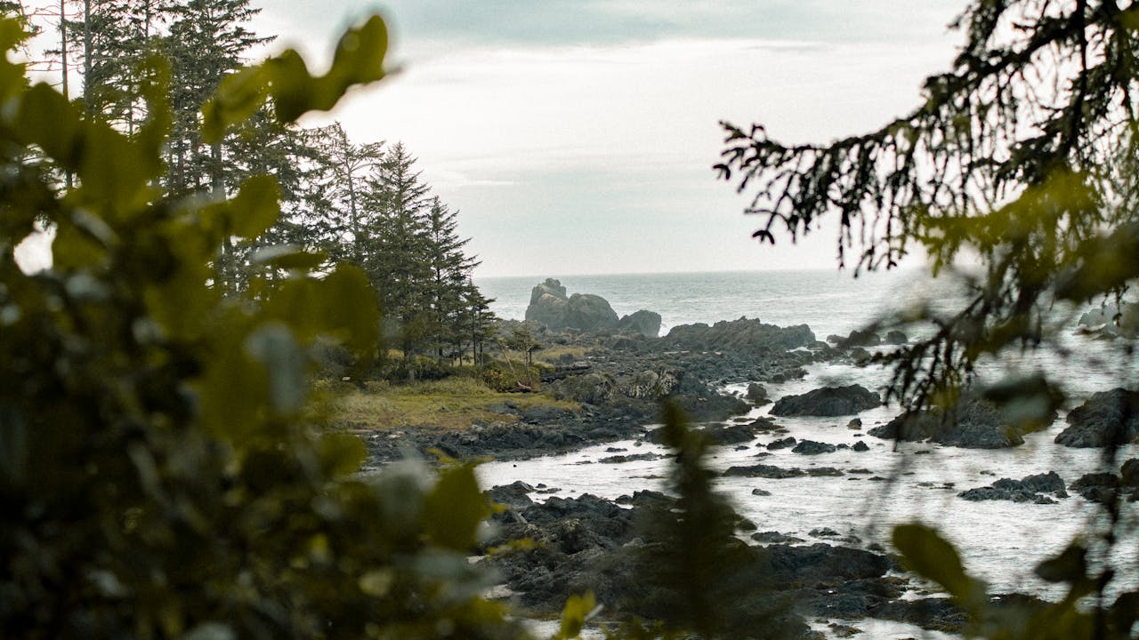 ucluelet shore